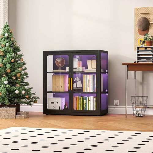 Glass Cabinet Display - Vitrina con Puertas de Vidrio e